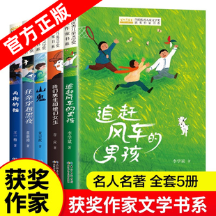 儿童文学获奖作家书系C版【全5册】雨街的猫 追赶风车的男孩 山鬼 狂奔穿越黑夜 我们男生和她们女生 三四五年级小学生课