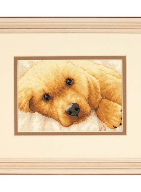 小小鱼十字绣套件DIM145-65038金毛 18CT乳白绣布家居手工刺绣