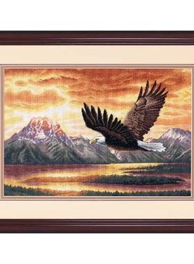 小小鱼十字绣套件DIM126-35165鹰 18CT家居手工刺绣