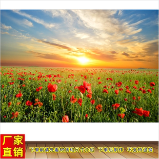 红色花朵墙贴壁画阳光花草客厅装饰画卧室贴画自粘海报花海风景画
