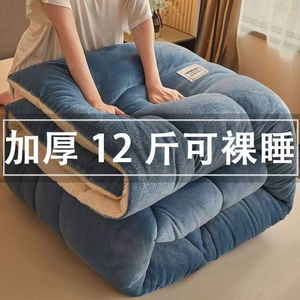 羊羔绒被子2025新款冬季棉被秋冬被加厚保暖10斤冬天宿舍单人被芯