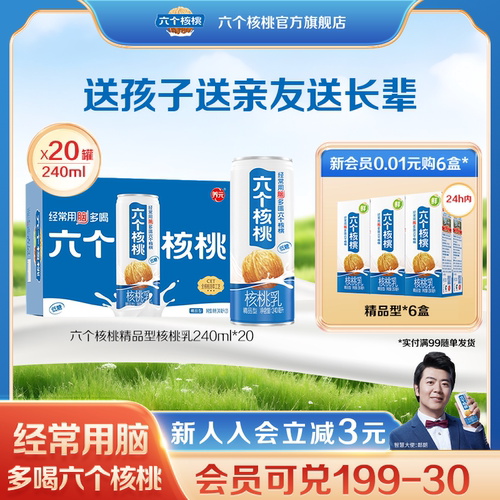 六个核桃植物蛋白核桃乳整箱
