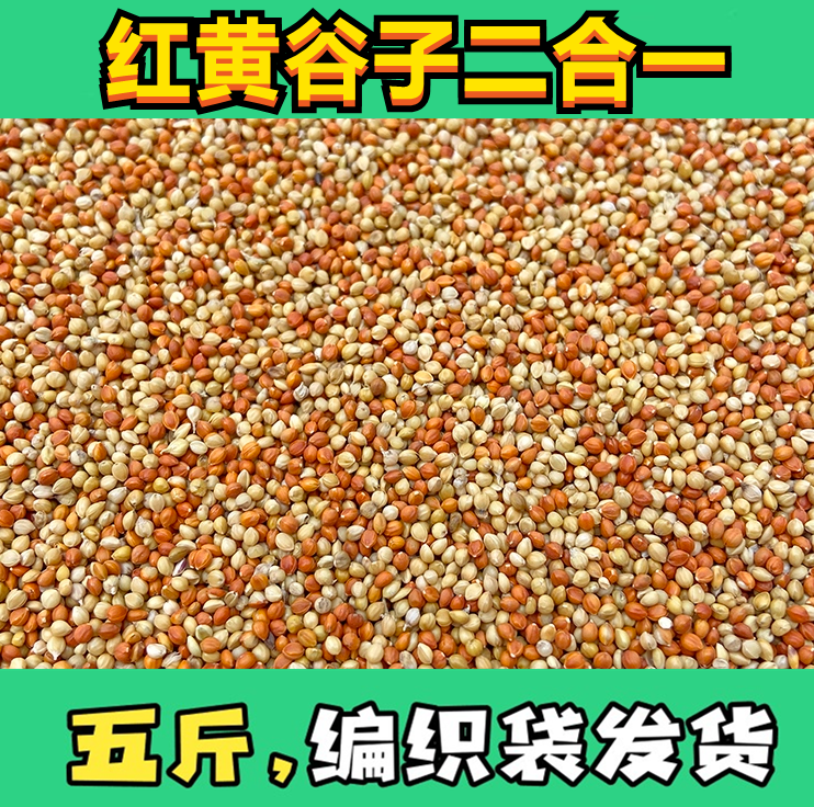 黄谷子红谷子鹦鹉鸟粮鸟食