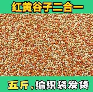 黄谷子红谷子混合带壳小米鸟粮鸟食饲料鸟粮虎皮玄凤牡丹鹦鹉玉鸟