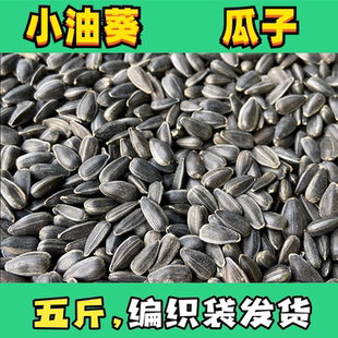 油葵小瓜子鸟粮饲料小太油性油料虎皮玄凤牡丹鹦鹉瓜子鸟粮鸟食