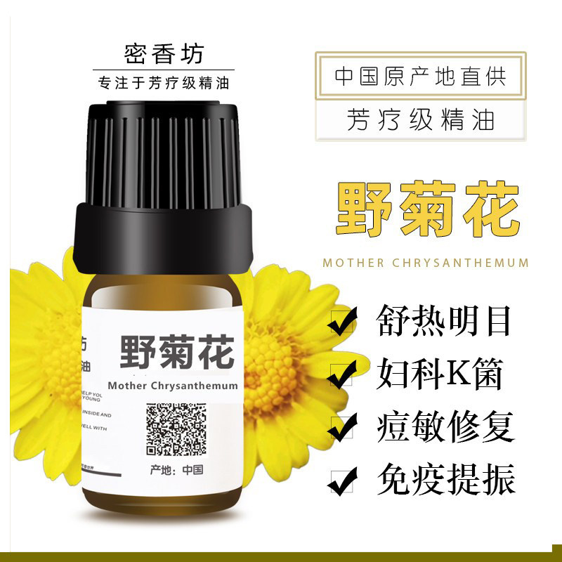 蒸馏高品质 野菊花单方纯精油 舒热明目 敏肌修复 清香宜人菊花香