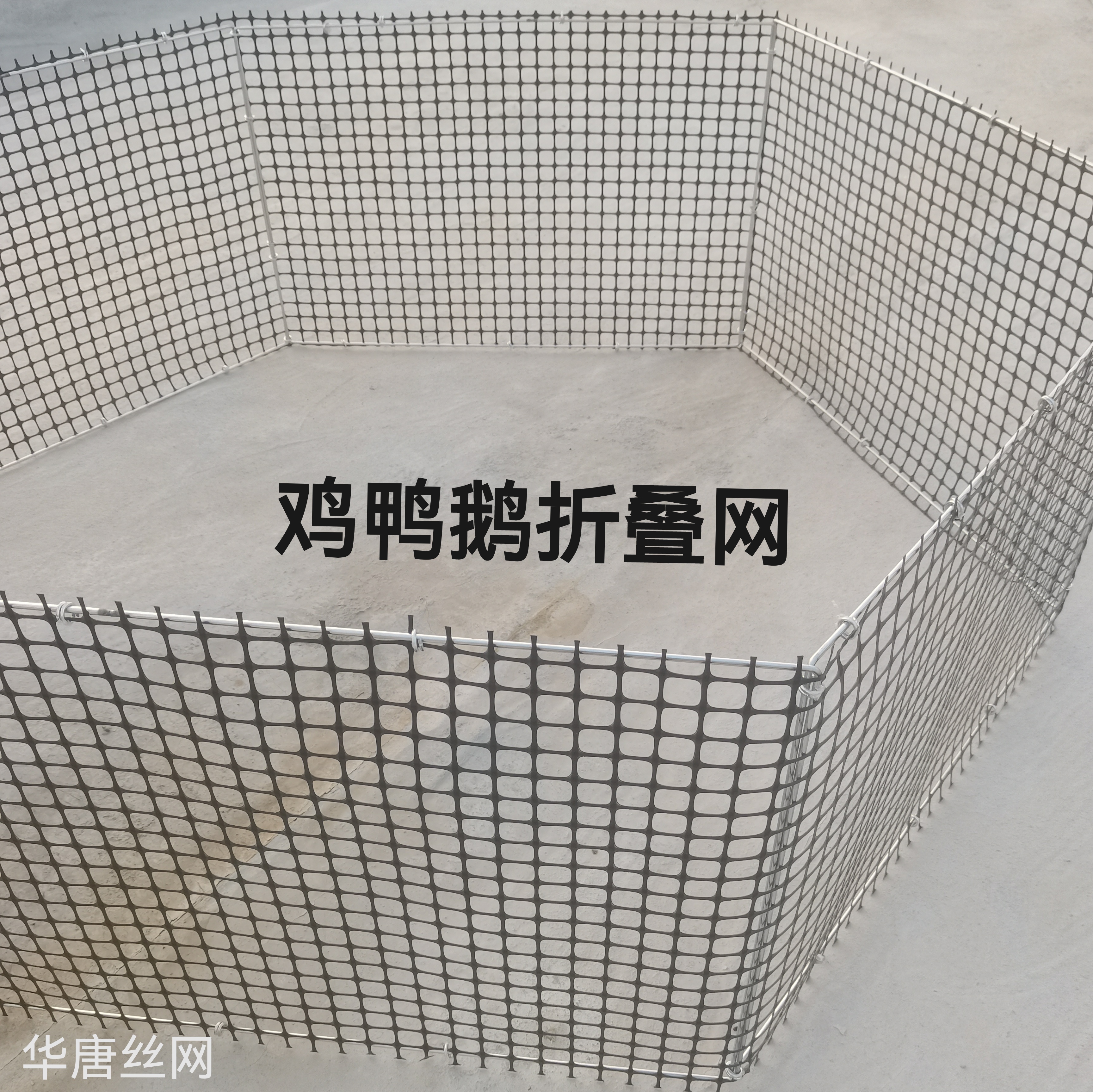 可折叠塑料围栏网家禽打疫苗围网