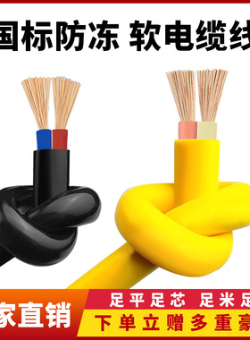 国标二芯电缆线rvv电线软线1.52.5 4平方10 20米护套电车充电源线