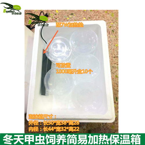 冬天甲虫独角仙长戟南洋幼虫成虫锹形虫大兜虫饲养简易加温保温箱