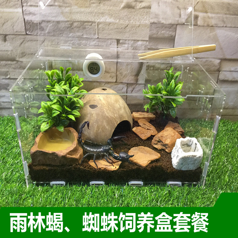 爬虫饲养盒蜘蛛雨林蝎椰土造景饲养箱高透蝎子甲虫红龙蜈蚣守宫,宠物/宠物食品及用品,爬宠缸/箱,淘宝优惠券,粉丝福利购,淘宝优惠卷