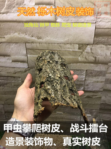 促销攀爬甲虫躲避饲养箱
