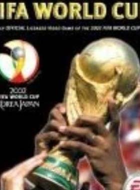 FIFA 足球世界杯 2002 中文版 电脑版 怀旧一键安装 WinXP/7/8/10