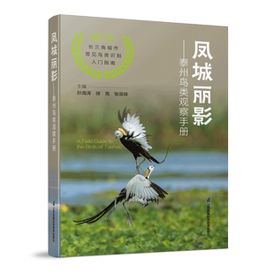 凤城丽影:泰州鸟类观察手册