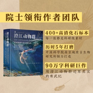 ：见证地球生命大爆发 澄江动物群 化石自然遗产 生命起源 中科院南古所出品 世界自然遗产化石图鉴化石名录 预售