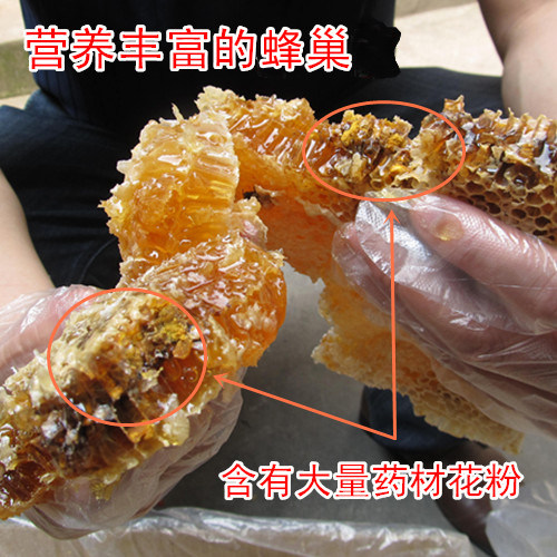 蜂巢蜜神农架深山采割纯野外生嚼着吃天然土蜂蜜原生态成熟老巢蜜