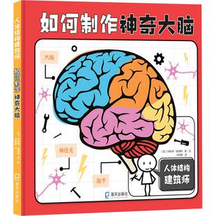 如何制作神奇大脑少儿少儿科普23456岁幼儿学龄前儿童亲子共同阅读小学一二三年级自主阅读正版 人体结构科 畅销图书籍好看好玩儿