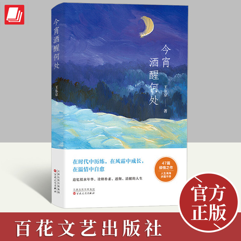2023新书 今宵酒醒何处 王东京 在时代中历练，在风霜中成长，在温情中自愈，人生每一步都有它的意义 文学作品集 百花文艺出版社