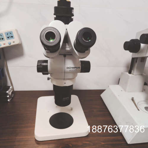 奥林巴斯SZX7真三目显微镜，15x原装目镜一对，二代三目头议价