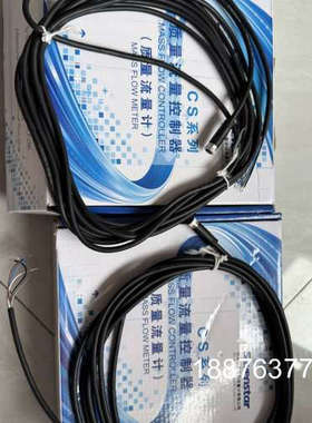 七星华创CS200流量计2个，型号CS200A，带原装包装盒议价