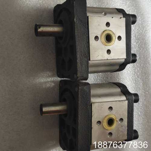 SDH齿轮泵CBTt-F310F3P7议价