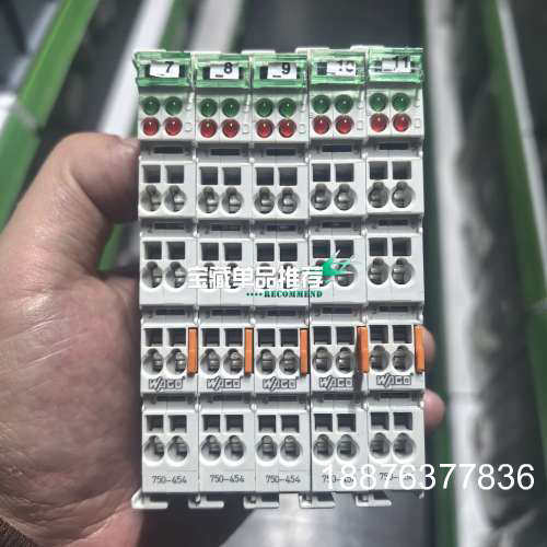 WAGO万可模块 750-454，原装正品拆机，功能包好，成议价