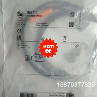 IFM IE5111 原厂全新正品假一罚十