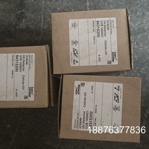 霍科德火焰检测器UVS 10D0G1