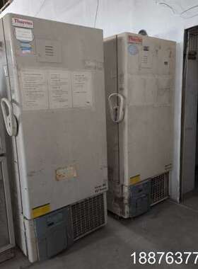 Thermo 超低温冷冻冰箱 Forma ULT freez议价