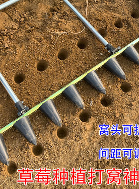 栽草莓苗打孔器农用打眼土壤打圆孔神器打洞工具秧苗栽种专用种植