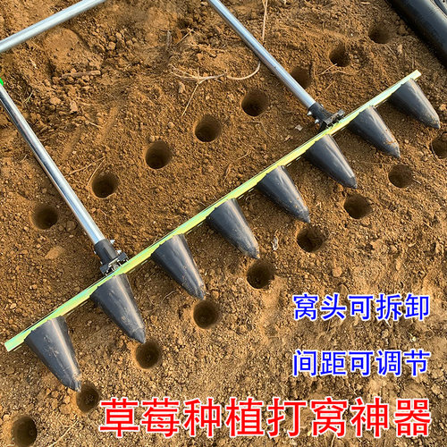 栽草莓苗打孔器农用打眼土壤打圆孔神器打洞工具秧苗栽种专用种植