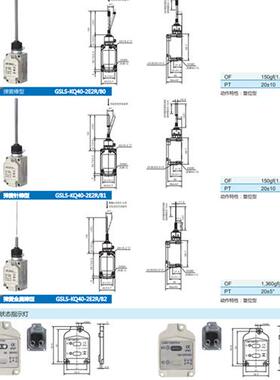 供应全新行程开关GSLS-KQ40-2E2R/54  GSLS-KQ40-2E2R/55