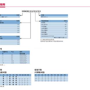 MOTOR  A-MAX RE-MAX DCX RE-MAX直流有刷空心杯马克森电机