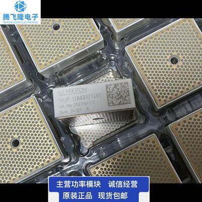 SKIIP11NAB 12NAB 13NAB 14NAB 22NAB 24NAB12T4V1  126V1