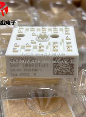 SKIIP12NAB12T4V1 SKIIP11NAB12T4V1 SKIIP12NAB126V1 NAB126V10