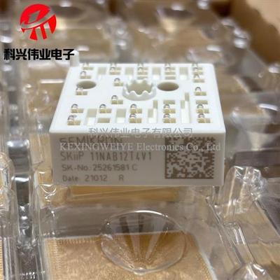 SKIIP12NAB12T4V1 SKIIP11NAB12T4V1 SKIIP12NAB126V1 NAB126V10