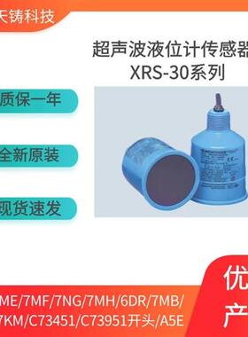 Echomax XRS-5超声波液位传感器探头7ML1106-1BA20-0A