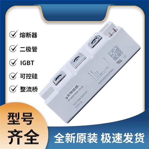 TD175N16SOF IGBT可控硅 晶闸管模块 极速发货 现货可直拍