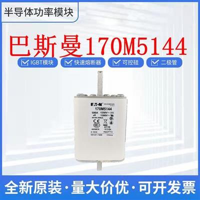 巴斯曼170M5144 170M5145 170M5146 170M5147 熔断器 保险丝