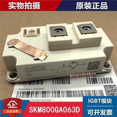 全新 SKM800GA126D SKM800GA125D SKM800GA176D SKM600GA12E4 063