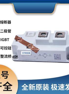 SKM800GA176D IGBT可控硅 晶闸管模块 极速发货 现货可直拍