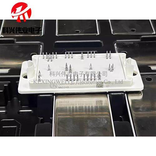 全新SNXH100M95L3Q2F2PG SNXH100M65L4Q2F2P2G SNXH600N100L4F5PG