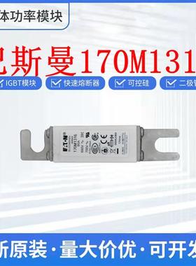 全新170M1316 170M1317 170M1318 170M1319 保险丝