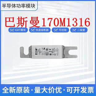 170M1319 170M1318 保险丝 170M1317 全新170M1316