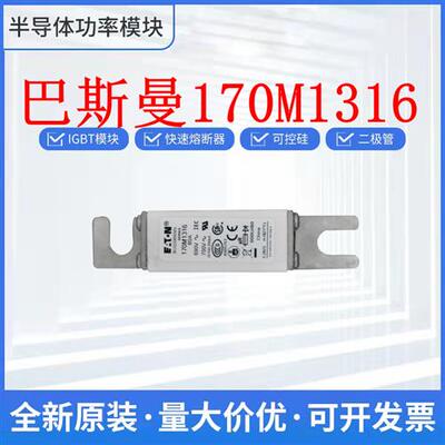 全新170M1316 170M1317 170M1318 170M1319 保险丝