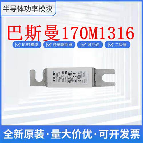 全新170M1316 170M1317 170M1318 170M1319 保险丝