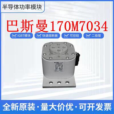 熔断器保险丝 170M7034 170M7035 170M7036 170M7058 170M7059