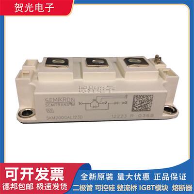 西门康IGBT模块可控硅 SKM200GAR12E4/ SKM200GAR123D现货