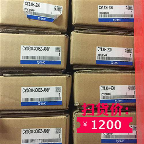 原装无杆气缸CY1L10H-200 CY1SG10-300BZ-A93V CDPXWM20-150
