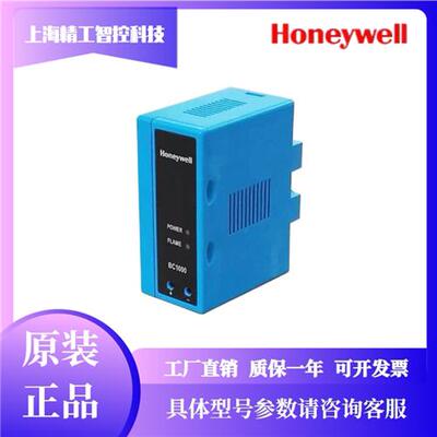 火焰监测器BC1000A0220U/E离子检测信号转换 开关量输出