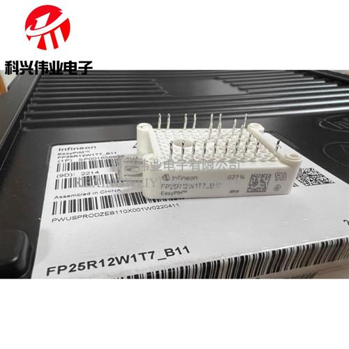 FP25R12W1T7 FP25R12W1T7_B11 FP25R12W2T4P FP25R12W2T4P_B11